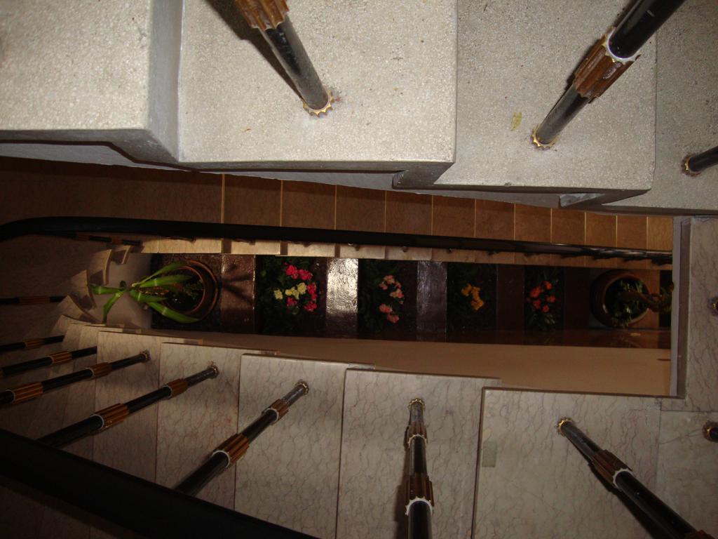Alianca Alojamento Local グアルダ エクステリア 写真